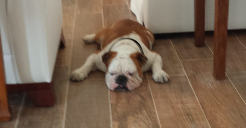 Projeto M. Salles Porto